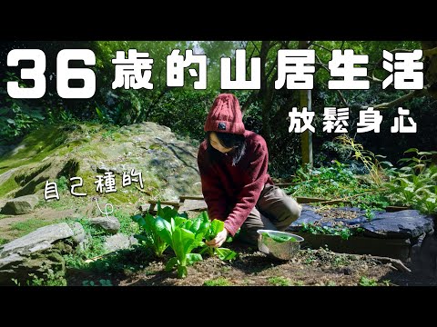 療癒身心的山居生活｜擁抱自然魅力：種菜、燒柴、山泉水咖啡 🌱 😊