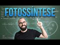 Photosynthesis Processes and Functions