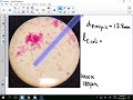 Microscopy and Measurement Concepts