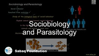 Sociobiology and Parasitology