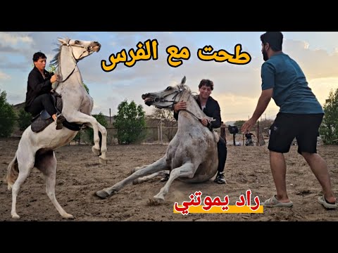 شوف قوة وعناد هذا الفرس راد يكسرني