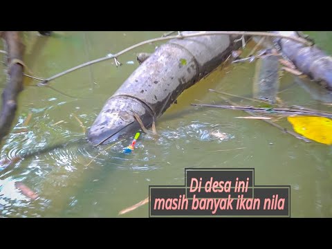 Natural!! Lokasi mancing yang jadi idaman para pemancing liaran