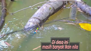 Natural!! Lokasi mancing yang jadi idaman para pemancing liaran