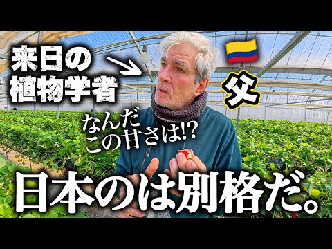 植物博士のパパが初めて食べる日本のイチゴに言葉を失う【来日】