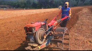 Akar pohon pengganggu @RodaTraktor