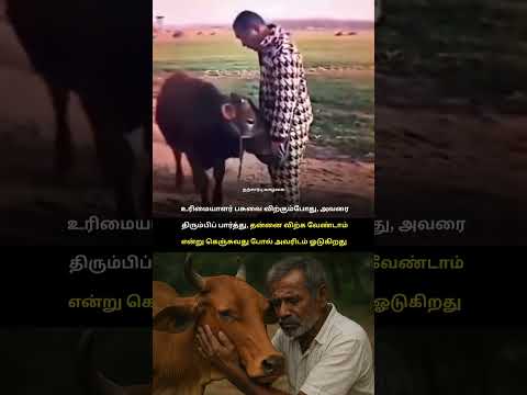 பார்க்கும் போதே கண் கலங்குது😭