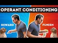 Operant Conditioning Concepts and Applications