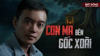 CON MA BÊN GỐC XOÀI - Truyện ma Nguyễn Huy kể