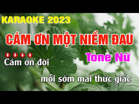 Cám Ơn Một Niềm Đau Karaoke Tone Nữ (Am) Nhạc Sống | Trung Hiếu