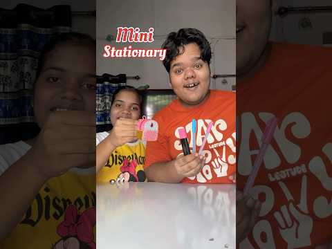 My Sister Vs Me : Who will make the best Mini Stationary #shorts
