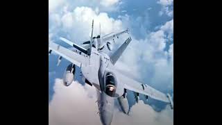 bad boys 🦅  #aircraft #military #usmilitarycombat #aircraftmilitary #aviation #army #usa #shorts