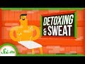 Understanding Body Detoxification