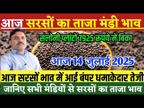 सरसों के भाव| 14 जुलाई 2025 आज सरसों में आई बंपर धमाकेदार तेजी| sarso ka bhav, Mustard prices today,