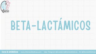 BETALACTÁMICOS Antibióticos Farmacología | Curso de Antibióticos Mentes Médicas
