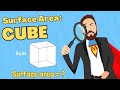 Surface Area and Properties of Cubes