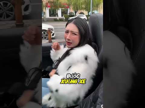 anh rể thật tuyệt vời#shorts #tiktok