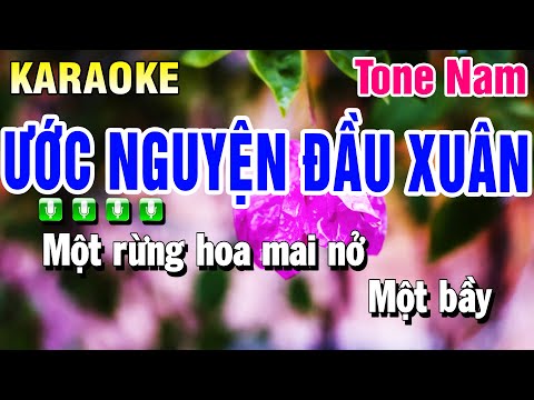 Karaoke Ước Nguyện Đầu Xuân Tone Nam Beat 2025  Huỳnh Anh