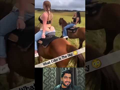 the end 🤣 pt89#shorts #shortvideo #funny #fails