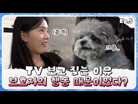 [개바개 Ep.5] 반려견 짖음에 보호자가 그렇게 반응하시면 안됩니다 Don't react like that to a dog's bark