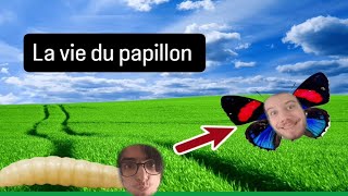 La généalogie du spécimen Papillion [Papillionus Larvus]