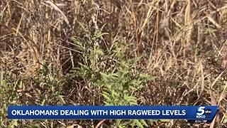 YouTube video thumbnail: High Ragweed Levels hit Oklahoma; Allergist Warns They Could Last Throughout Fall