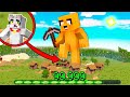Minecraft: Desafío de Tamaño y Experiencia