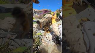 PSYCHO BEES ATTACK