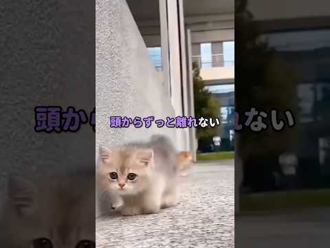 【2ch怖い話】鬼ごっこはまだ終わらない