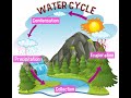 Understanding the Water Cycle Concepts