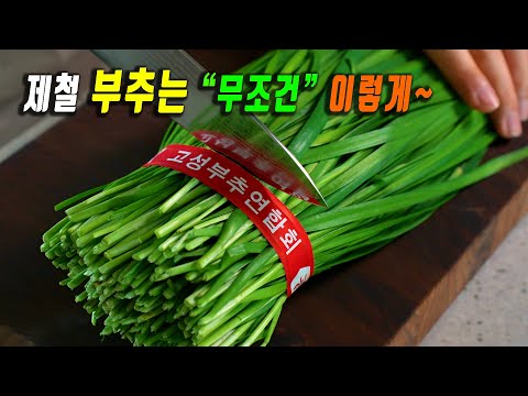 부추로 "이걸" 만들면 밥솥이 텅텅비고 쌀이 떨어집니다.👍 밥도둑 부추 요리 3가지  강쉪