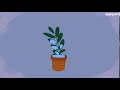 Understanding the Video Tutorial