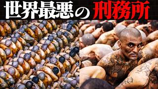 【解説】人類史上最悪の刑務所TOP８