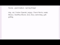 Understanding Nouns and Grammar