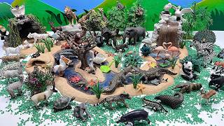 Safari Diorama For animals! Jungle Life With Panda Deers Crocodile tiger lions