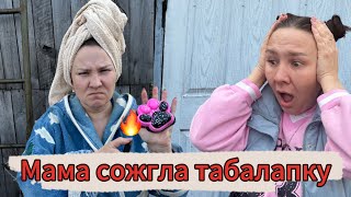 Мама сожгла мою таба лапку! #табалапка #табалапки #табасквиши