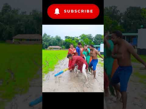 New Entertainment Top Funny Video Best Comedy Part 1