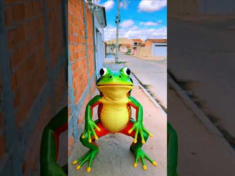 #shorts #comedy #funny #shortvideo #comedia #humor jogou sal ele foi embora
