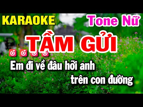 Karaoke Tầm Gửi – Tone Nữ – Nhạc Sống – Huỳnh Lê