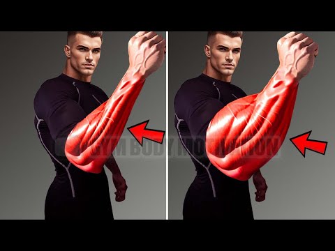 8 MIN FOREARM WORKOUT AT HOME   NO EQUIPMENT NEEDED