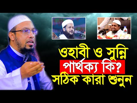 ওহাবী ও সুন্নীর মধ্যে সঠিক কারা? পার্থক্য কি? শায়েখ আহমাদুল্লাহ নতুন প্রশ্নোত্তর | new bangla waz