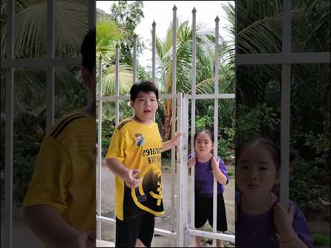 Báo nữa rồi chèn#shorts #funny