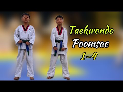 Taekwondo || Poomsae 1-4