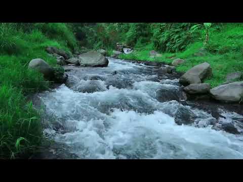 Terapi Suara Gemericik Air Mengalir untuk Relaksasi | Relaxing Water Sleep