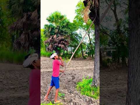 Morning ???#new #reels #shorts #video #funny /sonumalang/#video
