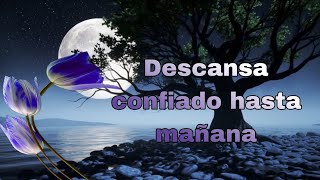 💤🌟BUENAS NOCHES 💤🌟DULCES SUEÑOS 💤