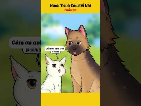 Câu Chuyện Về Chú Mèo Bối Nhi #truyentranh #anime #hoathinh #haihuoc