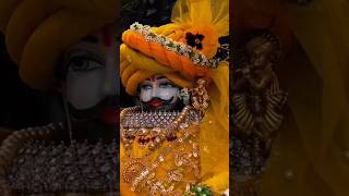 hare ka Sahara Baba Shyam hamara #shyam #shreekhatushyam #vairalshort