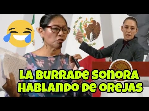 OTRA VEZ LA BRUJA DE SONORA ENFADANDO A NUESTRA PRESIDENTA @ClaudiaSheinbaumP  EN LA #mañanera