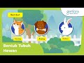 Animal Anatomy and Functions