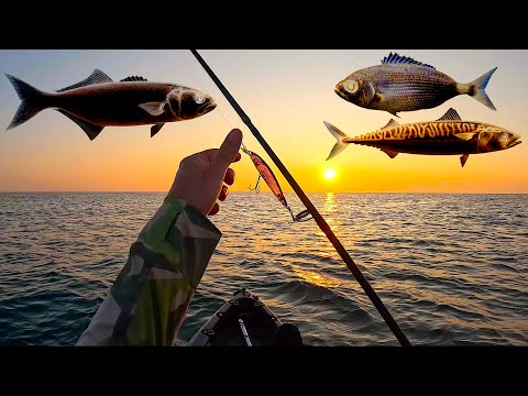 SUPER Pescata con il Kayak in Mare! Spinning e Traina con Esche Artificiali: Quattro Specie Diverse